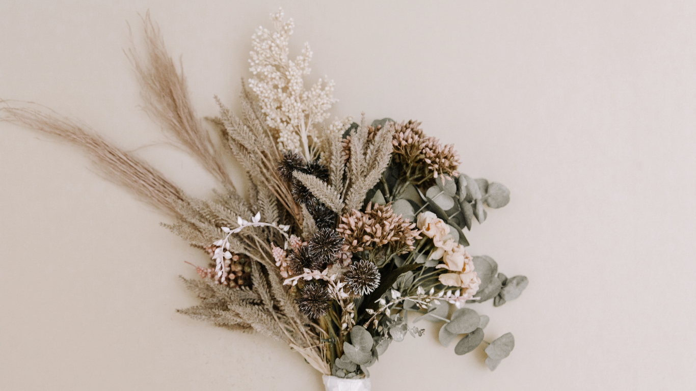 Scentsトップ画像